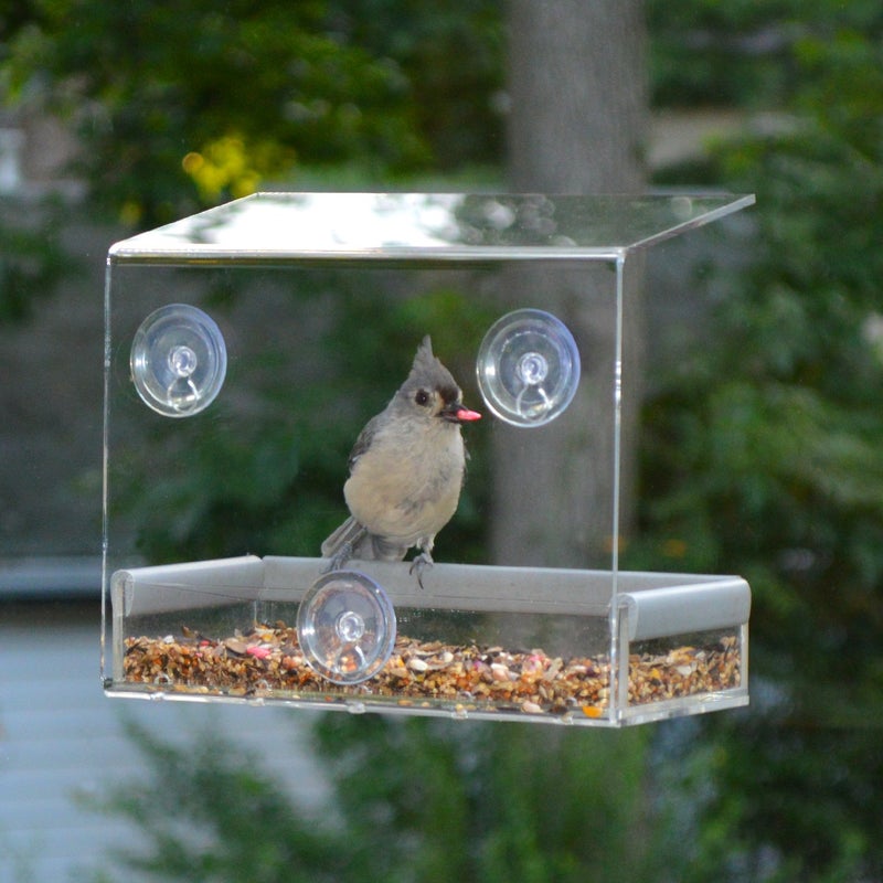 PetFusion Tranquility Window Bird Feeder in Premium Lucite Acrylic. (I) Removable Tray, (II) 3 Perches, Clear - Image 4
